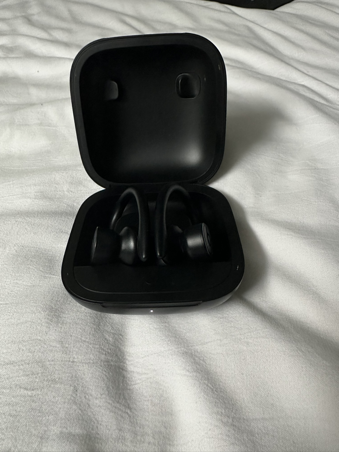 Beats Powerbeats Pro Wireless Earbuds image indicator(4)