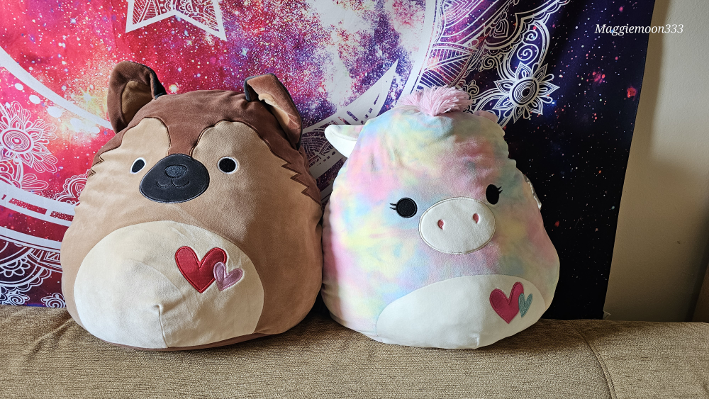 Squishmallow $10.00 for both thumbnail