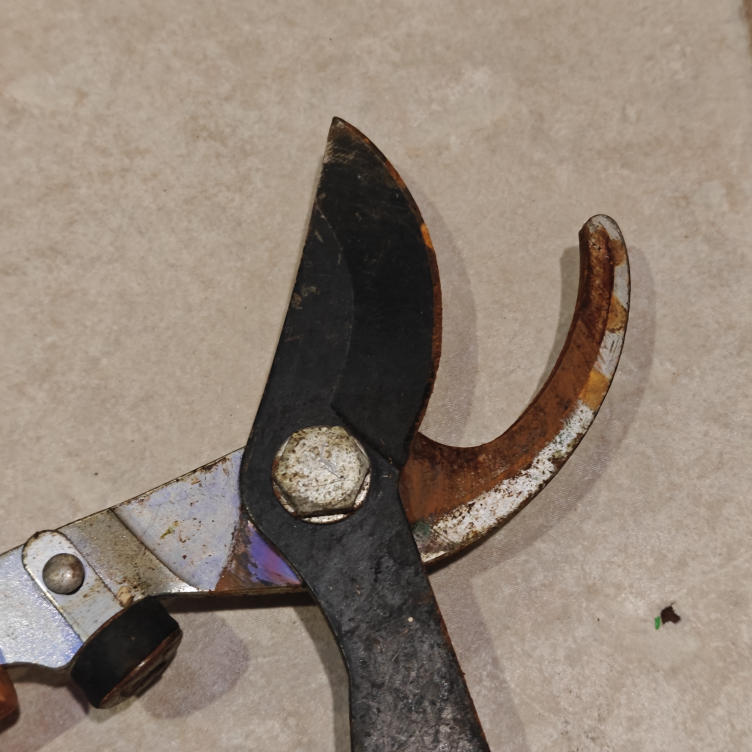 Fears Long Handle Pruners - photo 3