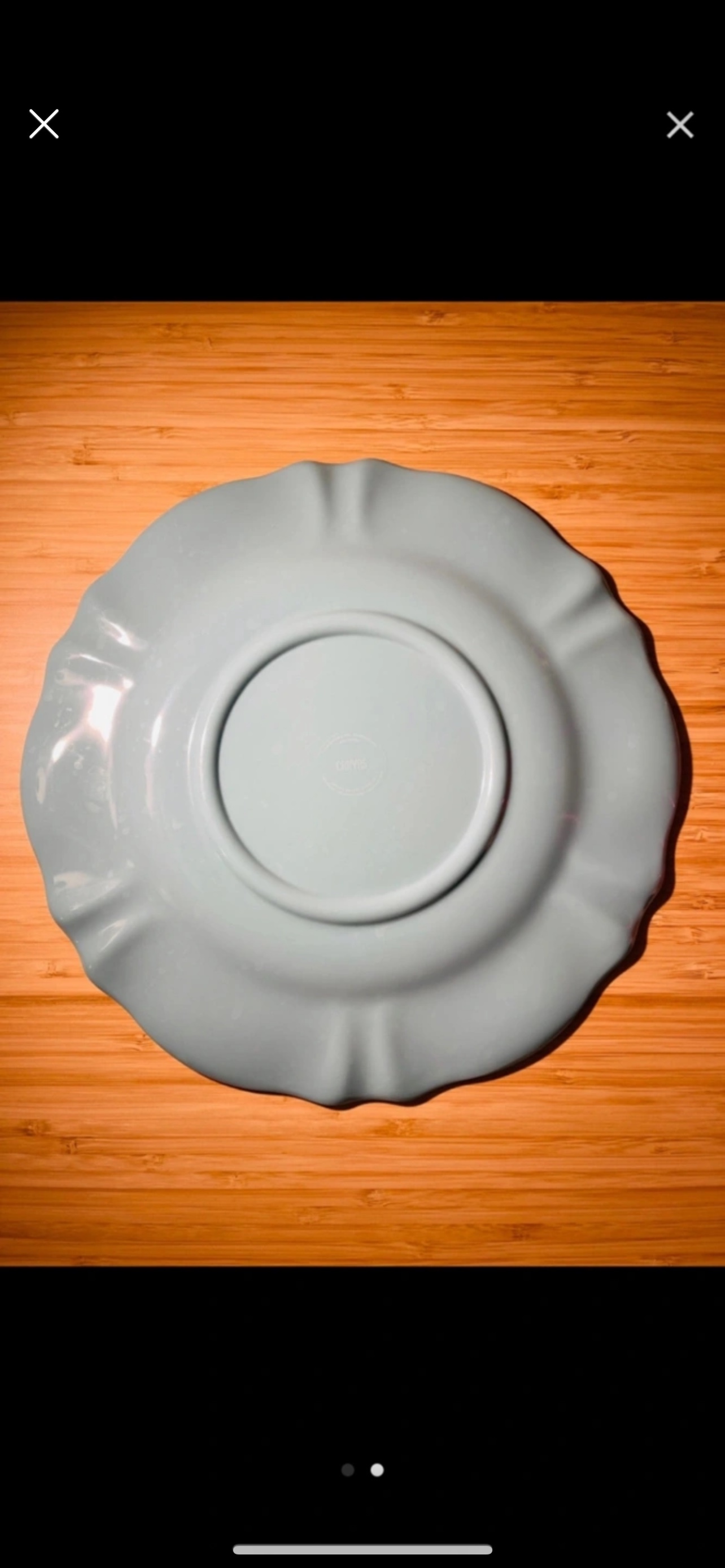 Melamine dinner plate image indicator(2)