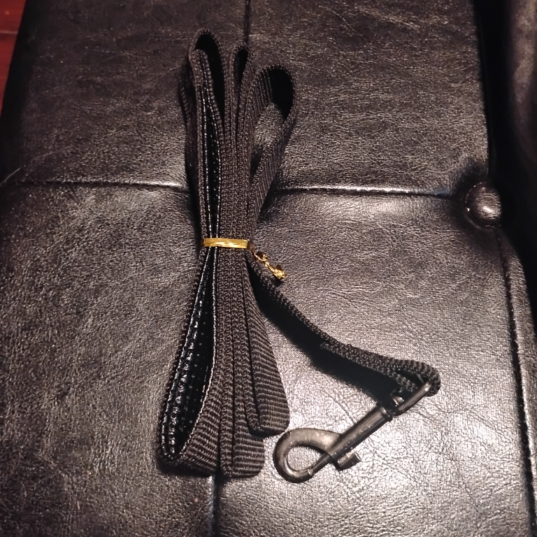 Dog leash (nylon)