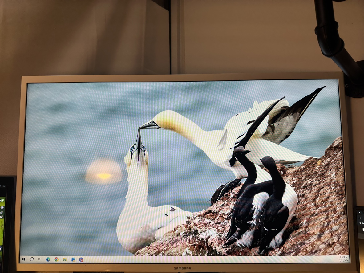 32inch samsung monitor