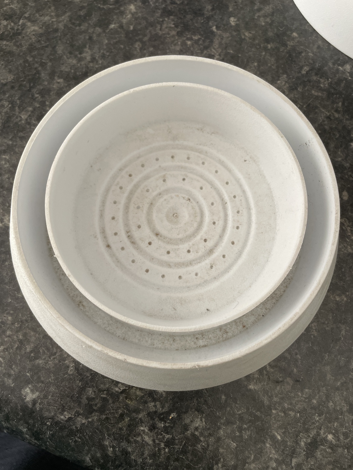 Bed bug traps; 6 pieces image indicator(2)