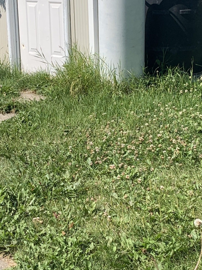 100 lb propane price lowed - photo 2