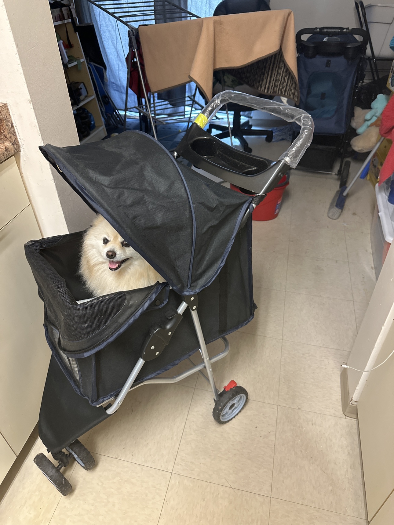 Pet Stroller image indicator(3)