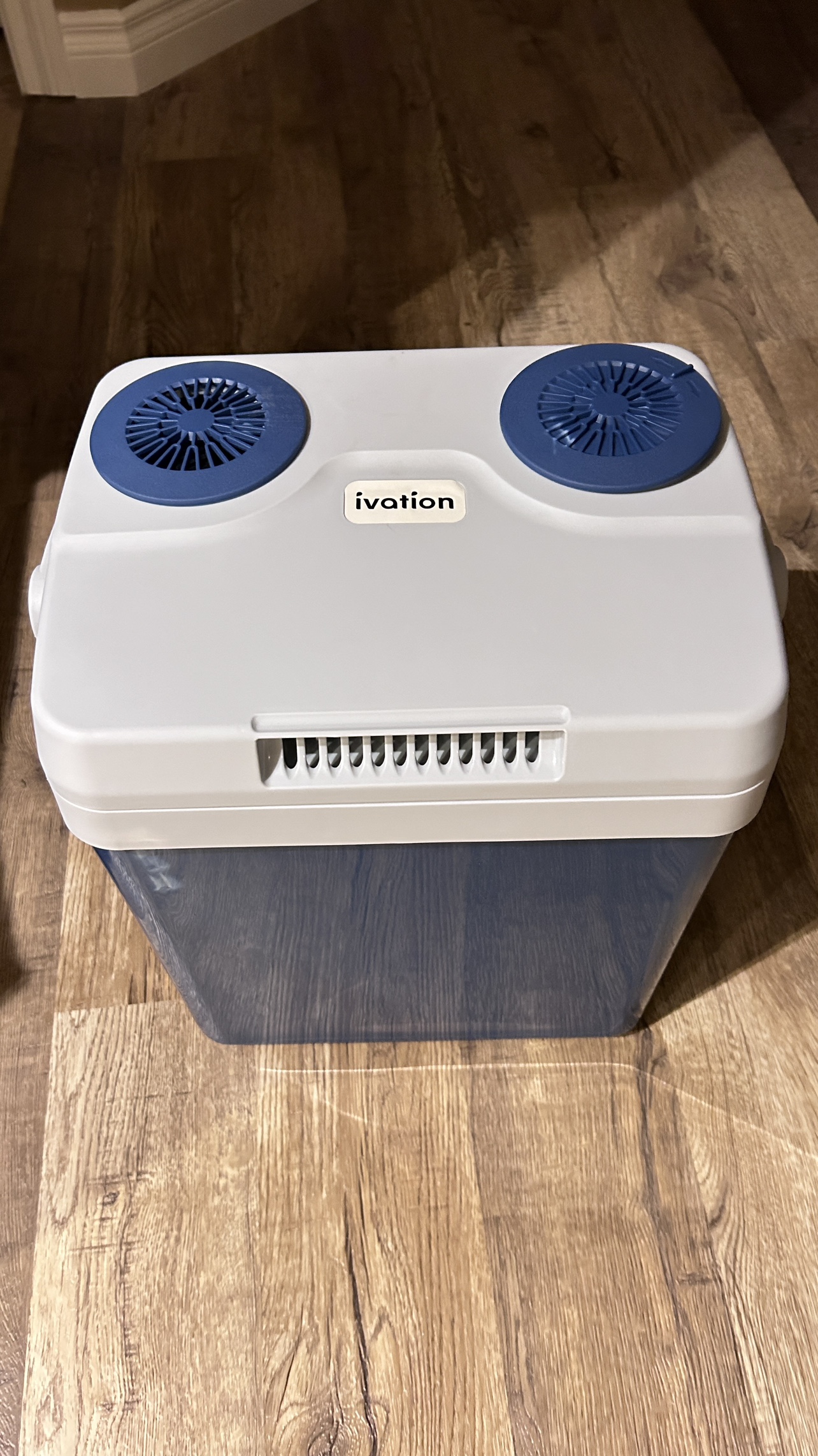 Ivation Portable Cooler