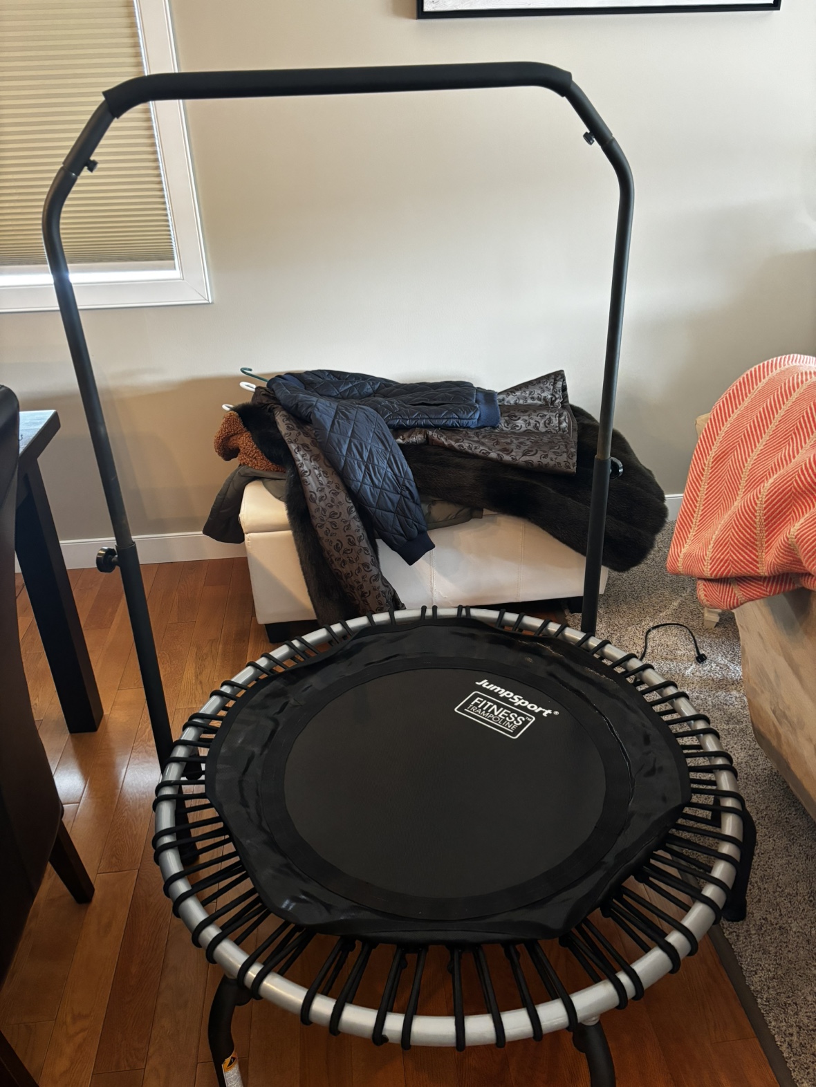 Fitness Trampoline