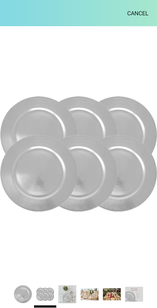 Silver Charger Plates, Set of 6 image indicator(5)