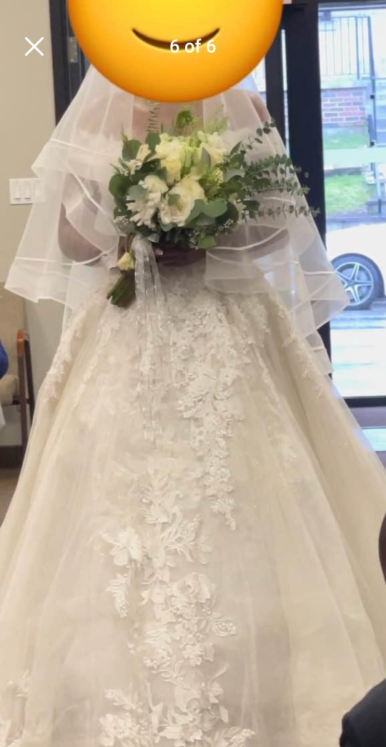 Wedding Dress image indicator(6)