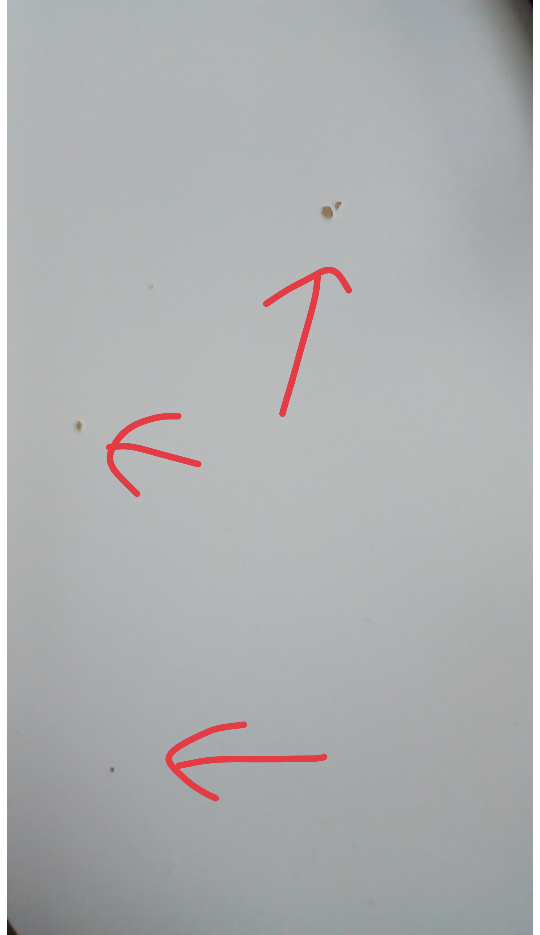 MOVING SALE - IKEA White Desk image indicator(4)