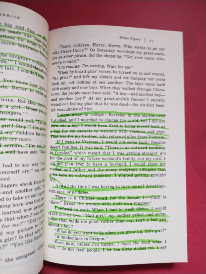 The Woman Warrior: Memoirs of a Girlhood Among Ghosts image indicator(3)