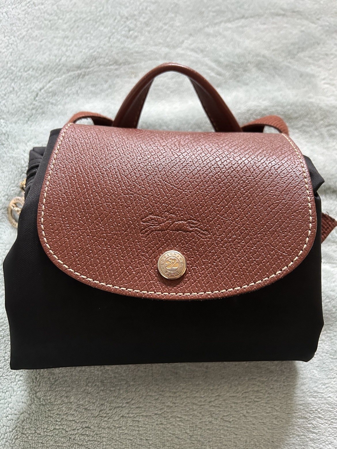 Longchamp Le Pliage Backpack