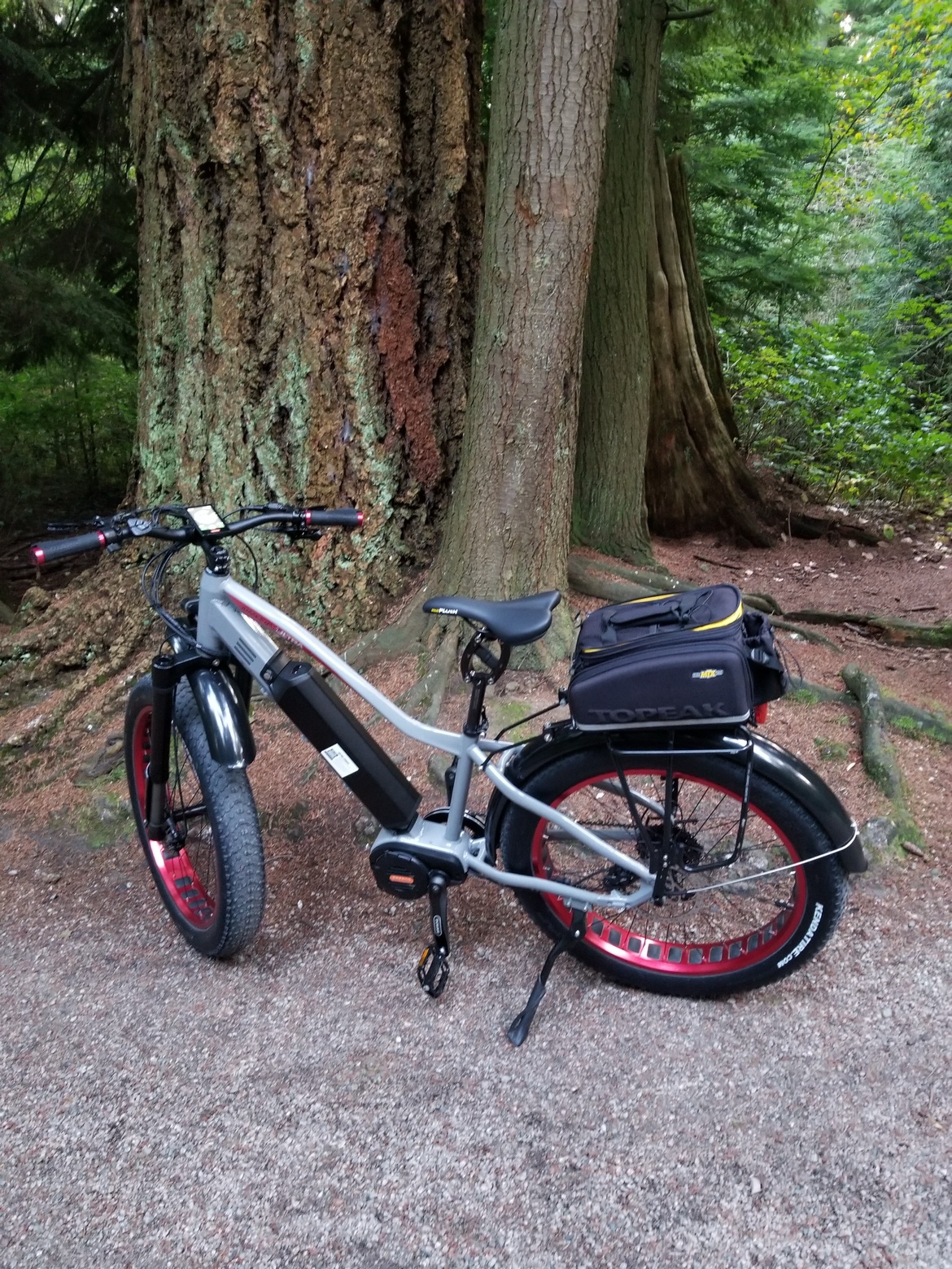 Biktrix jaggaurnut ultra 1000watt ebike image indicator(2)