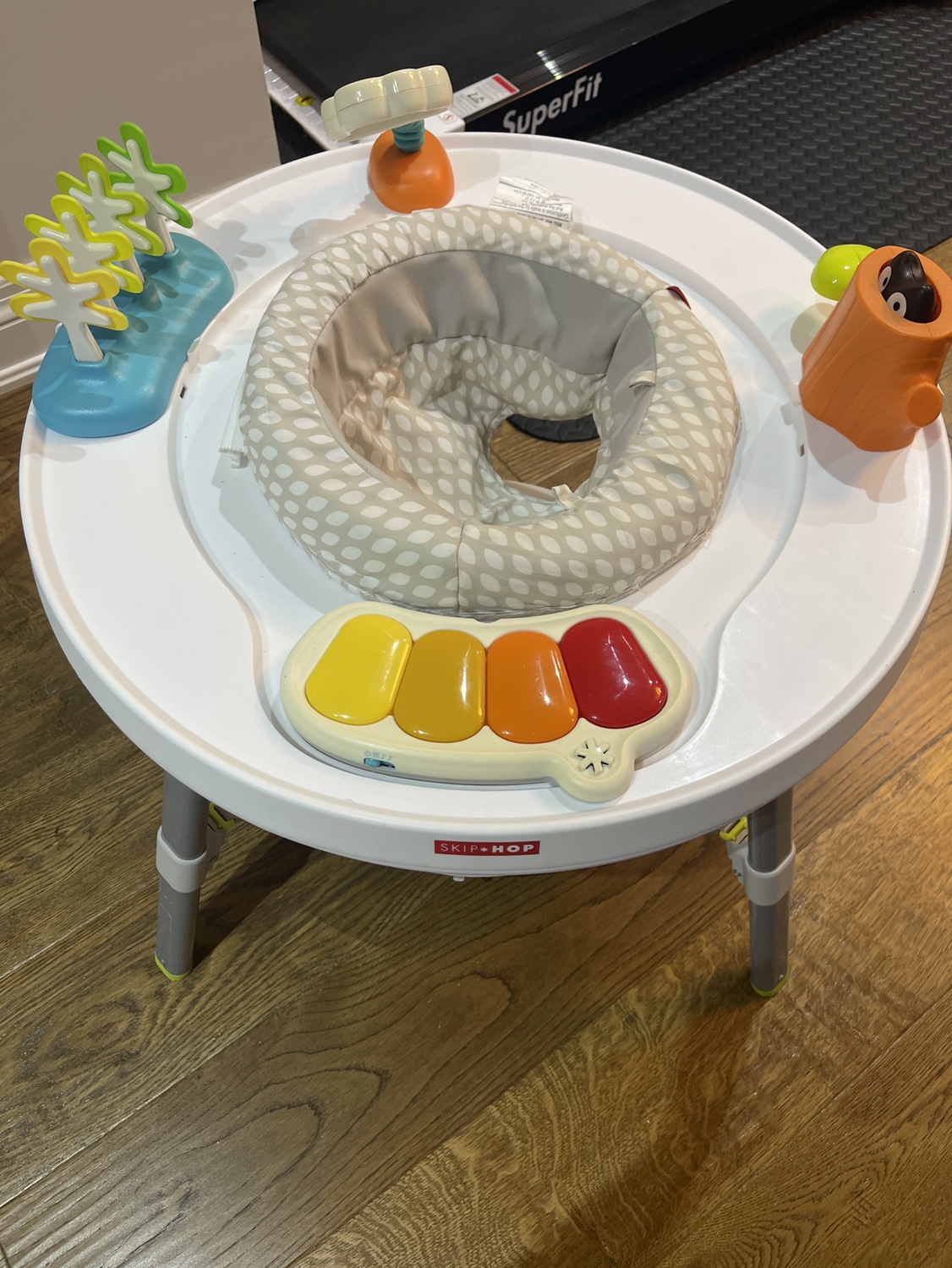 Skip Hop Explore & More 3-in-1 Activity Center