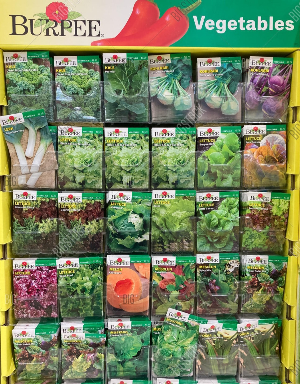 New Burpee Vegetable Seeds image indicator(3)