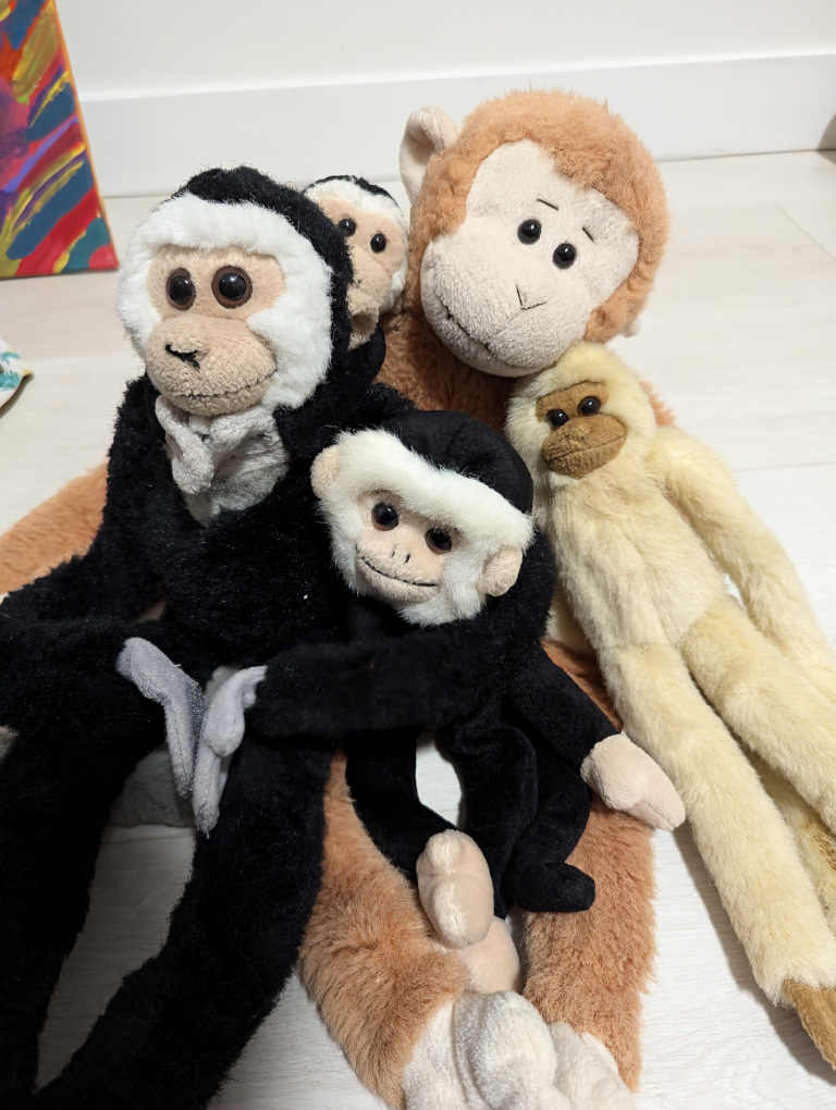 Monkey Plushies thumbnail