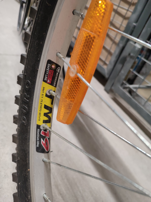 Next Challenger Bike - photo 3