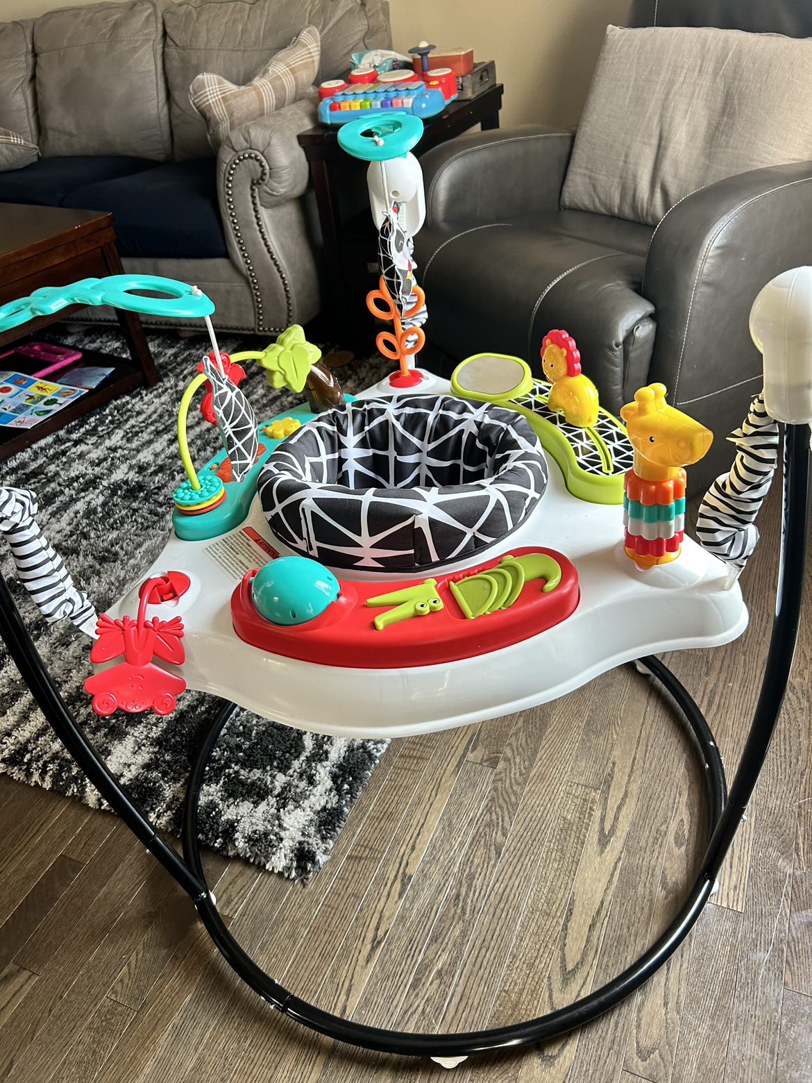 Baby bouncer/Jumparoo