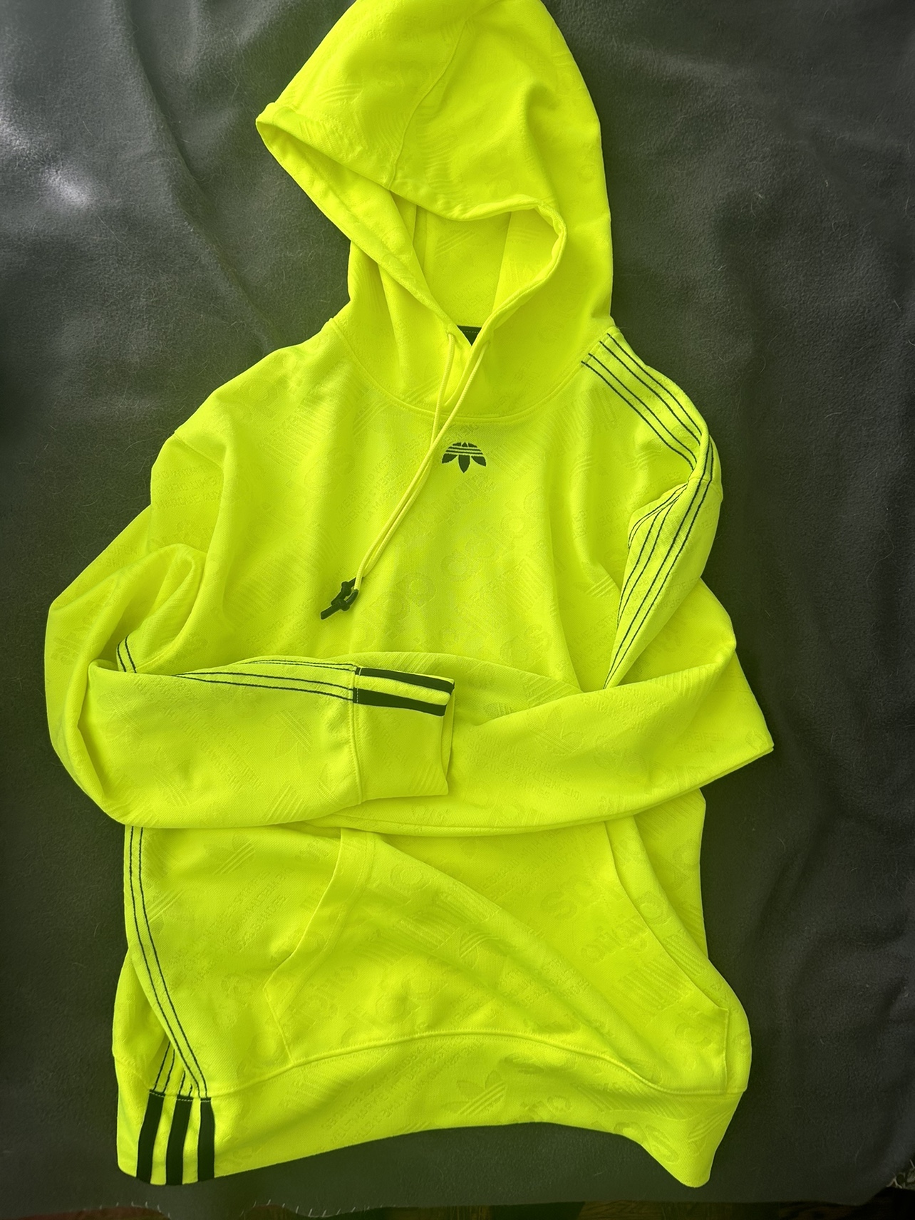 Alexander Wang x Adidas Alt Dimension Hoodie thumbnail
