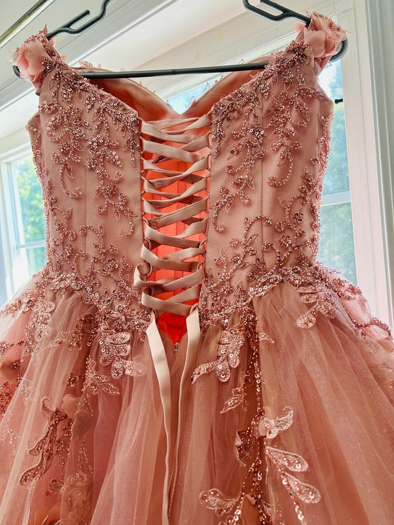 Pink Quinceanera Dress image indicator(4)