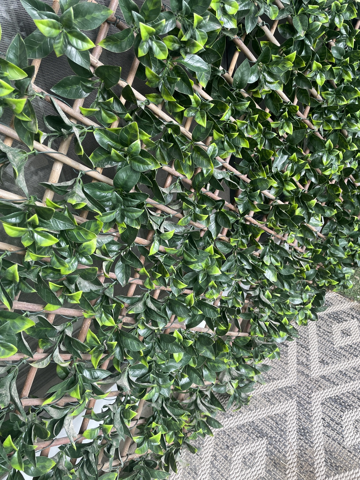 Plant Privacy Screen for Balcony - photo 3