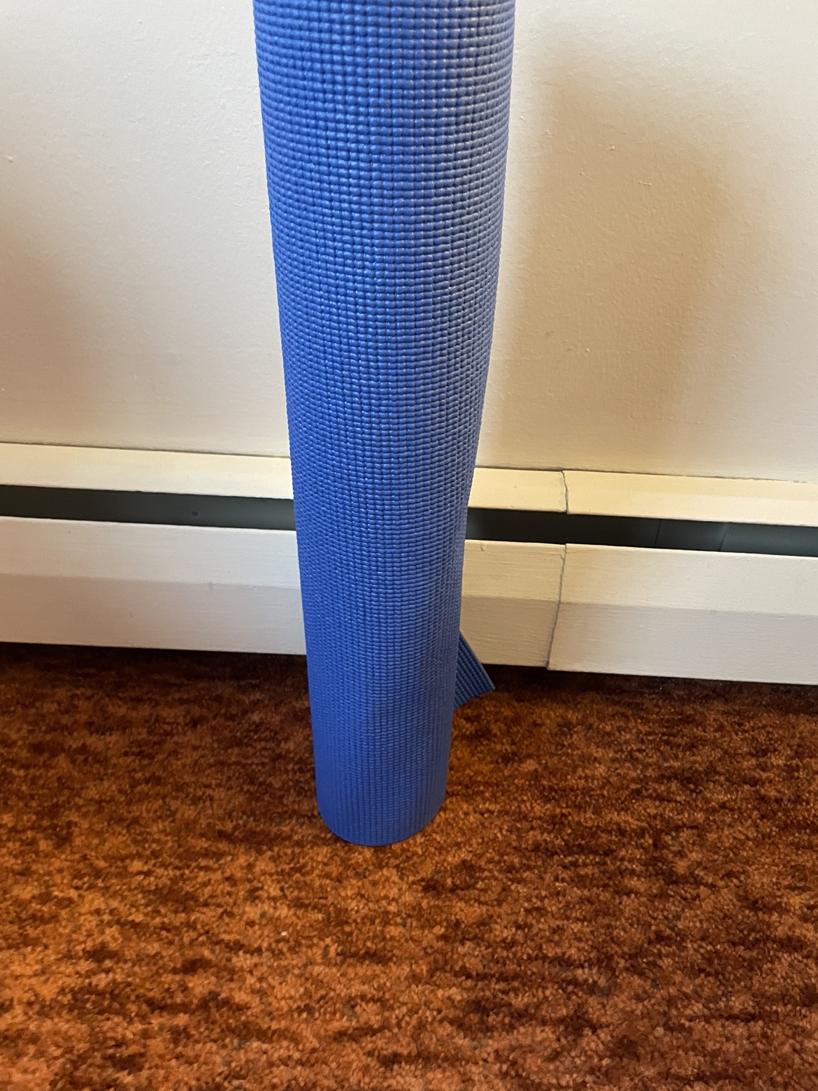 Blue Yoga Mat - Rarely used - photo 2