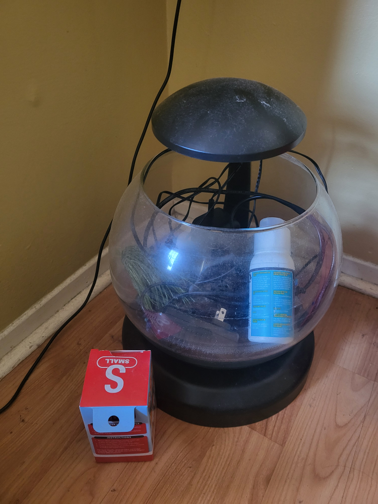 Bowl fish tank