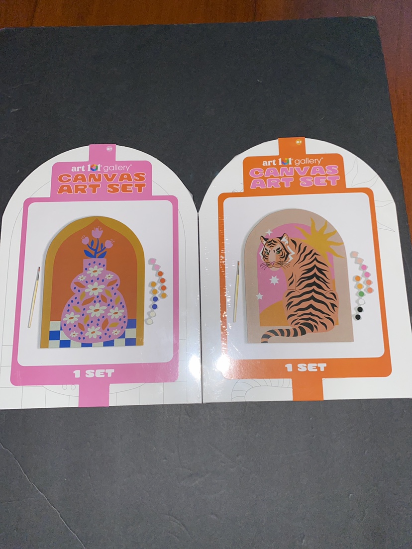 Art 101 Canvas Painting Sets #freecycle