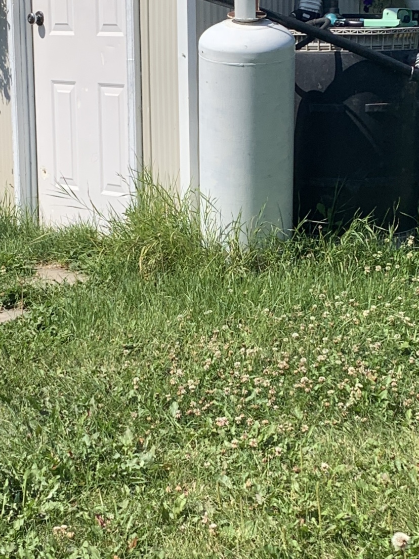 100 lb propane price lowed