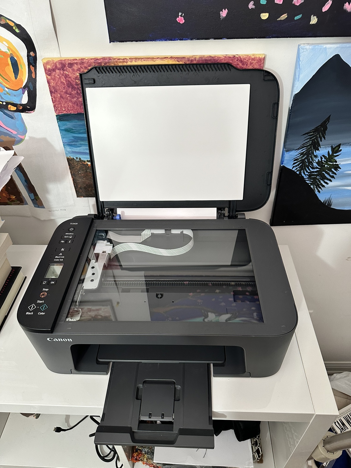 Canon Pixma printer with ink and paper - photo 2