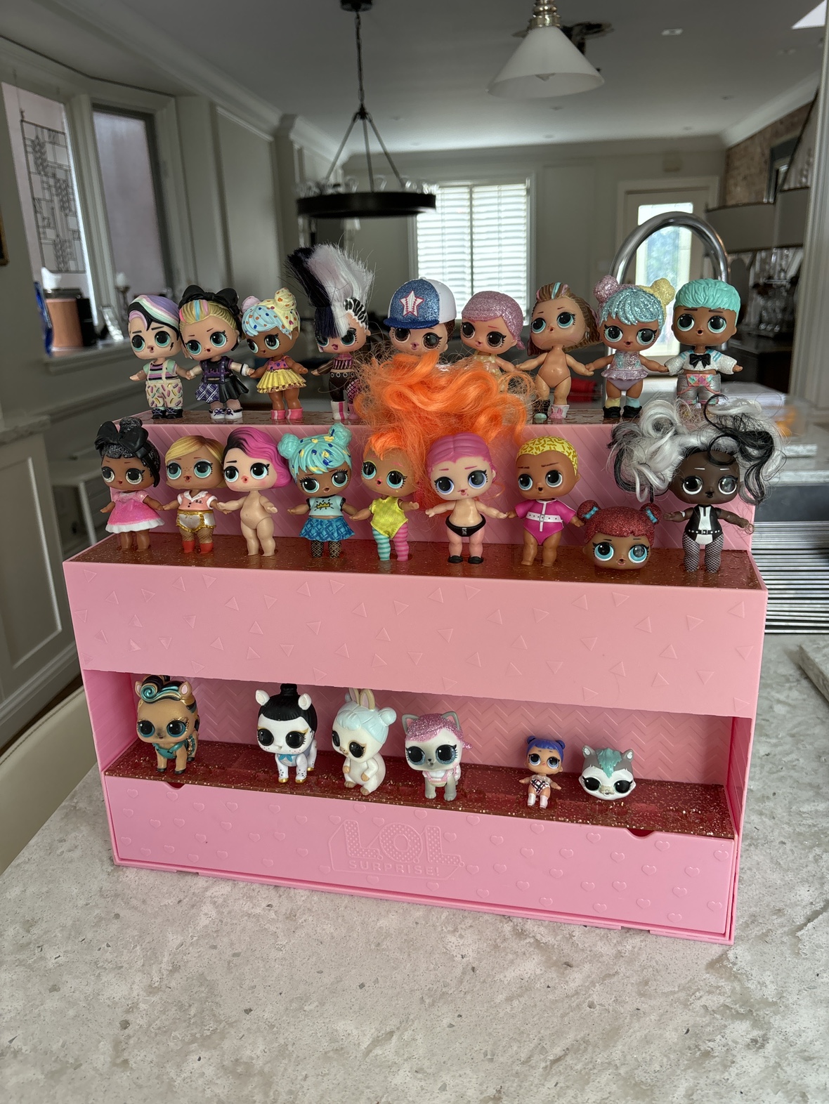LOL Doll stand 70+ accessories 19 LOL Dolls and 5 Pets
