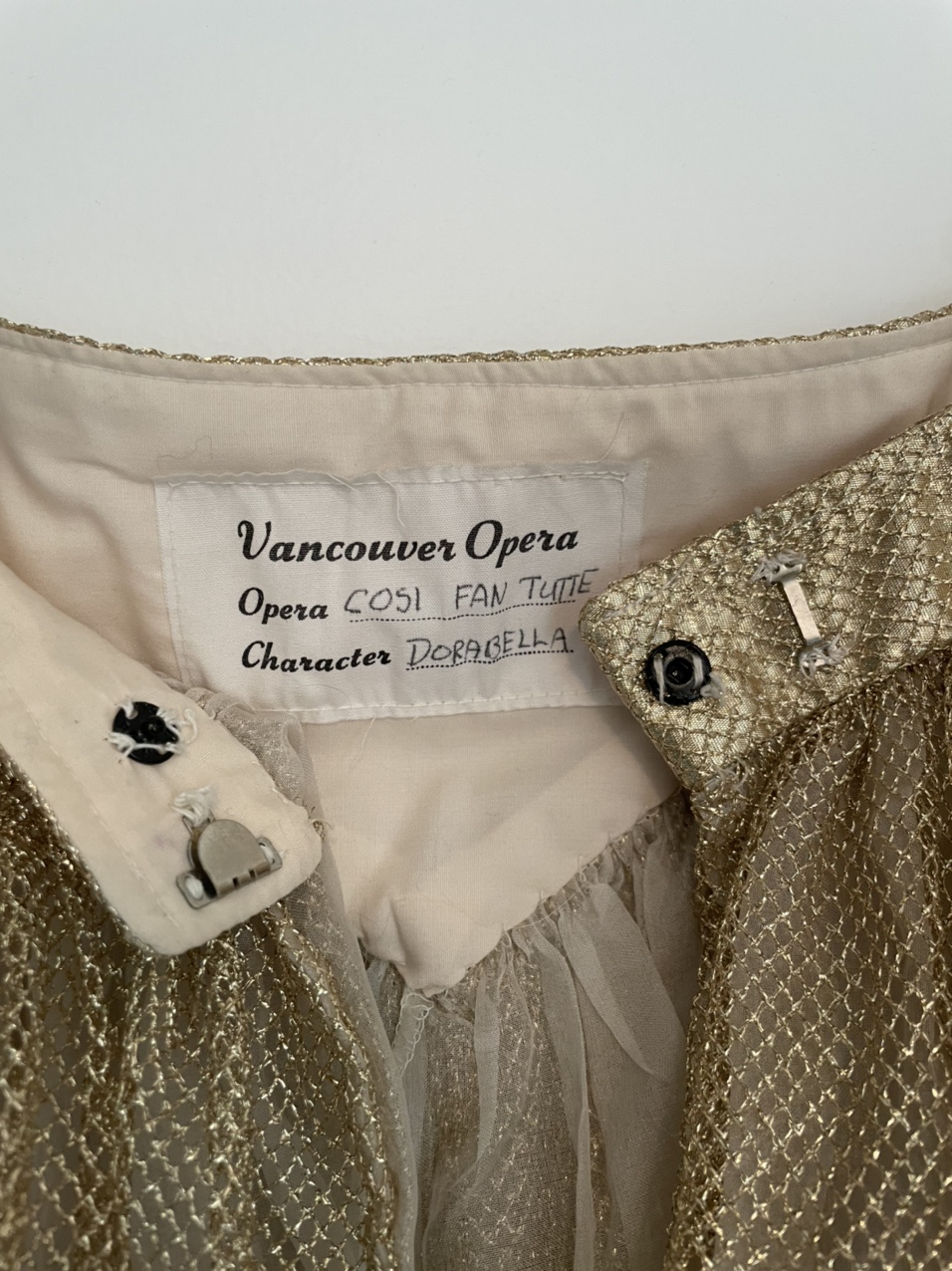 Dora Bella Costume image indicator(4)