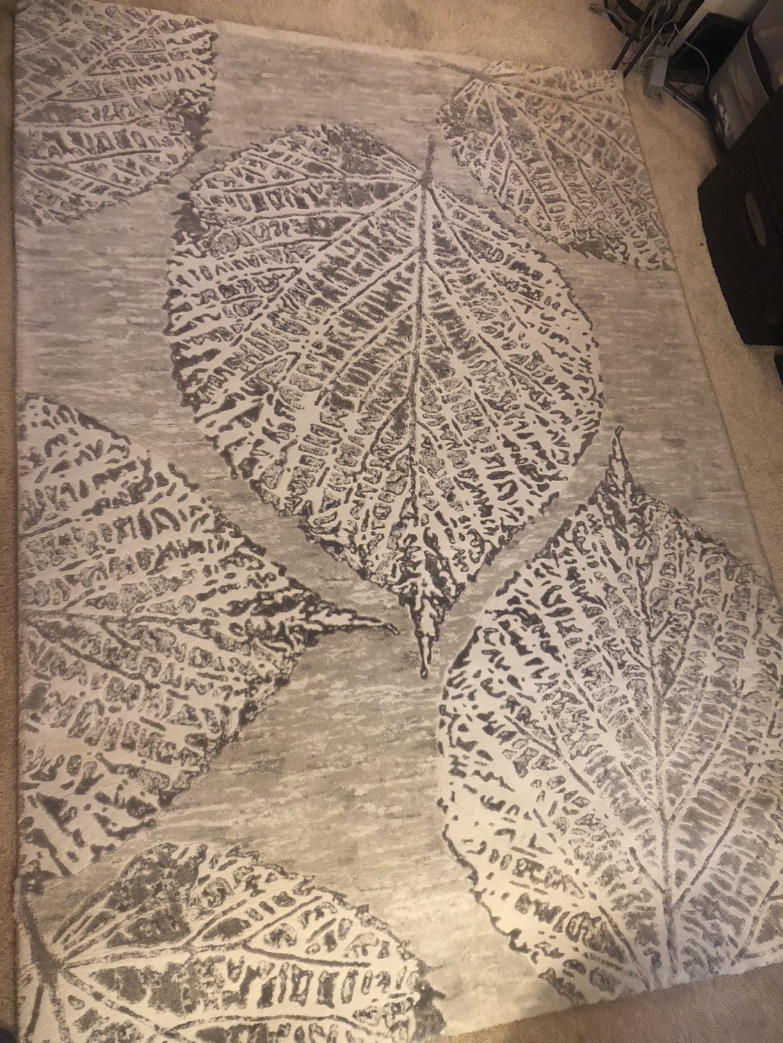 5x7 Area Rug
