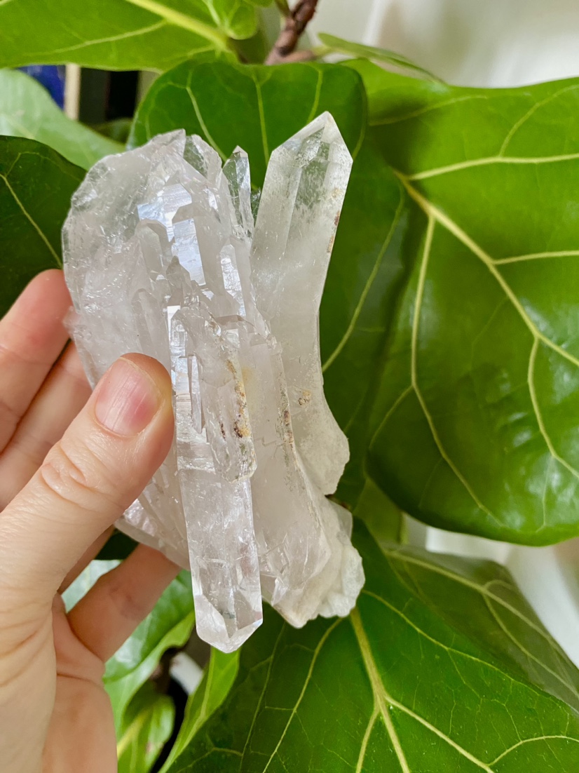 Unique Curved Quartz Crystal Cluster image indicator(3)