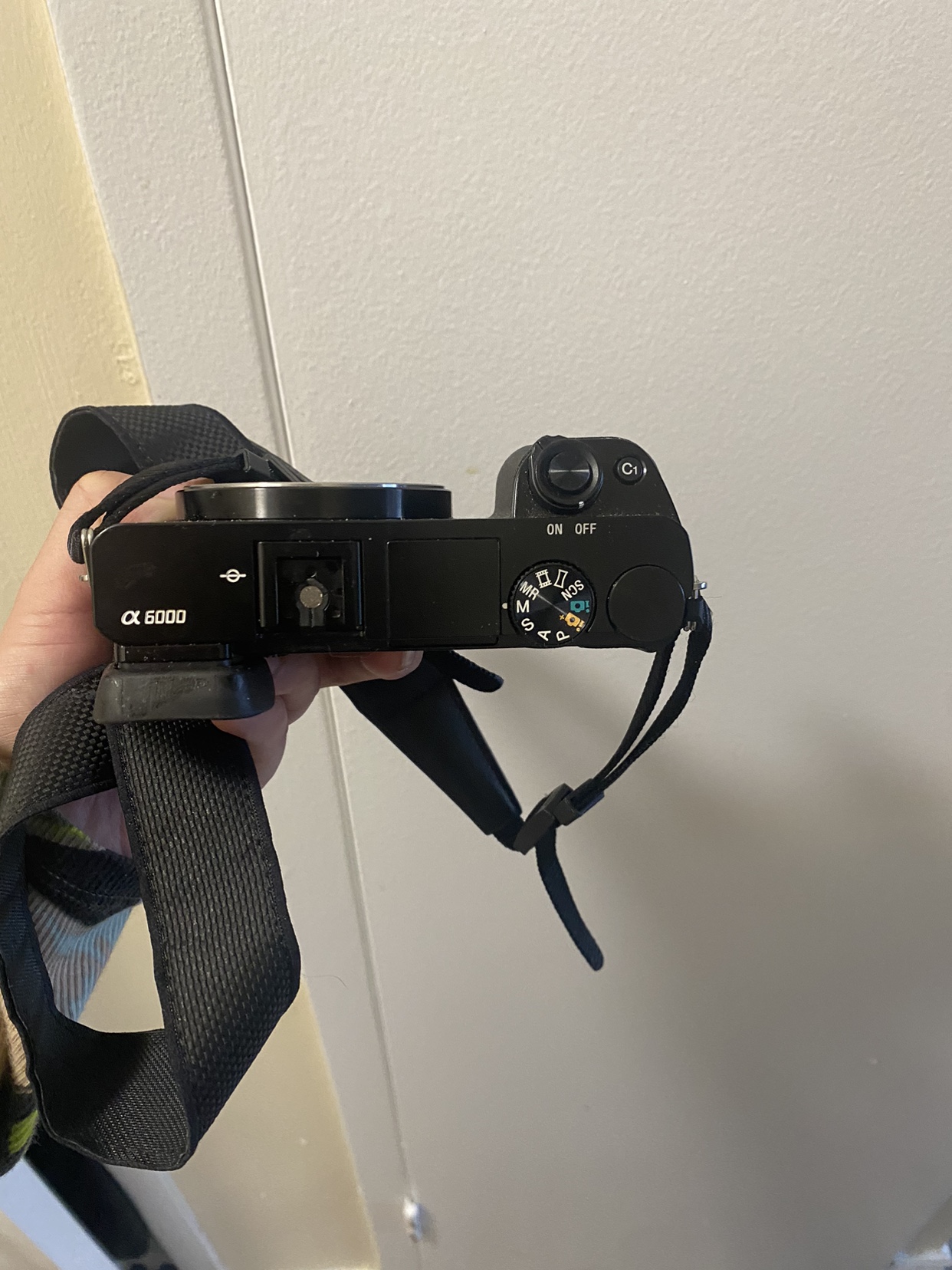 Sony A6000 image indicator(3)