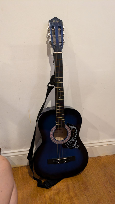 6 string guitar