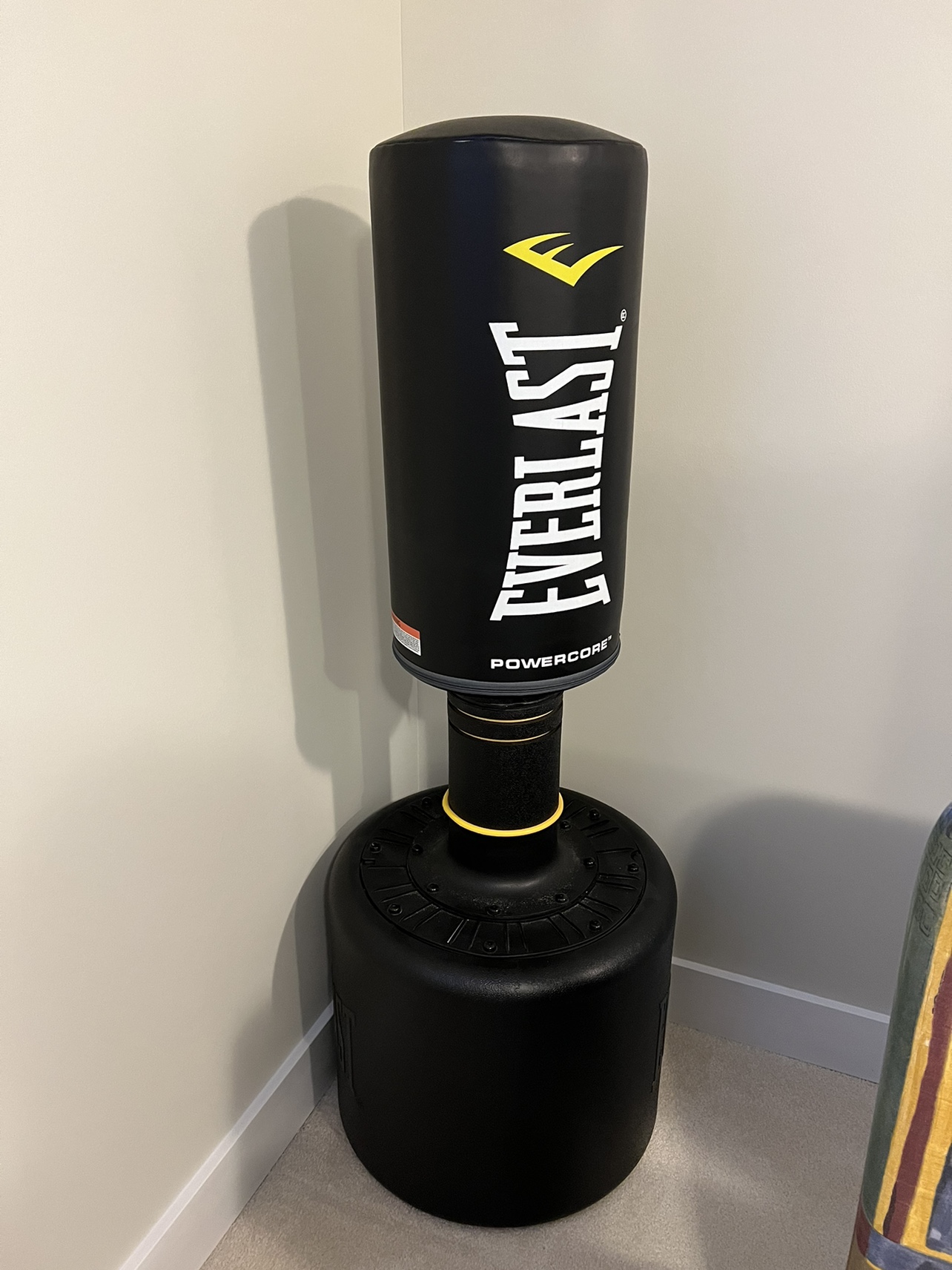 Everlast Punching Bag