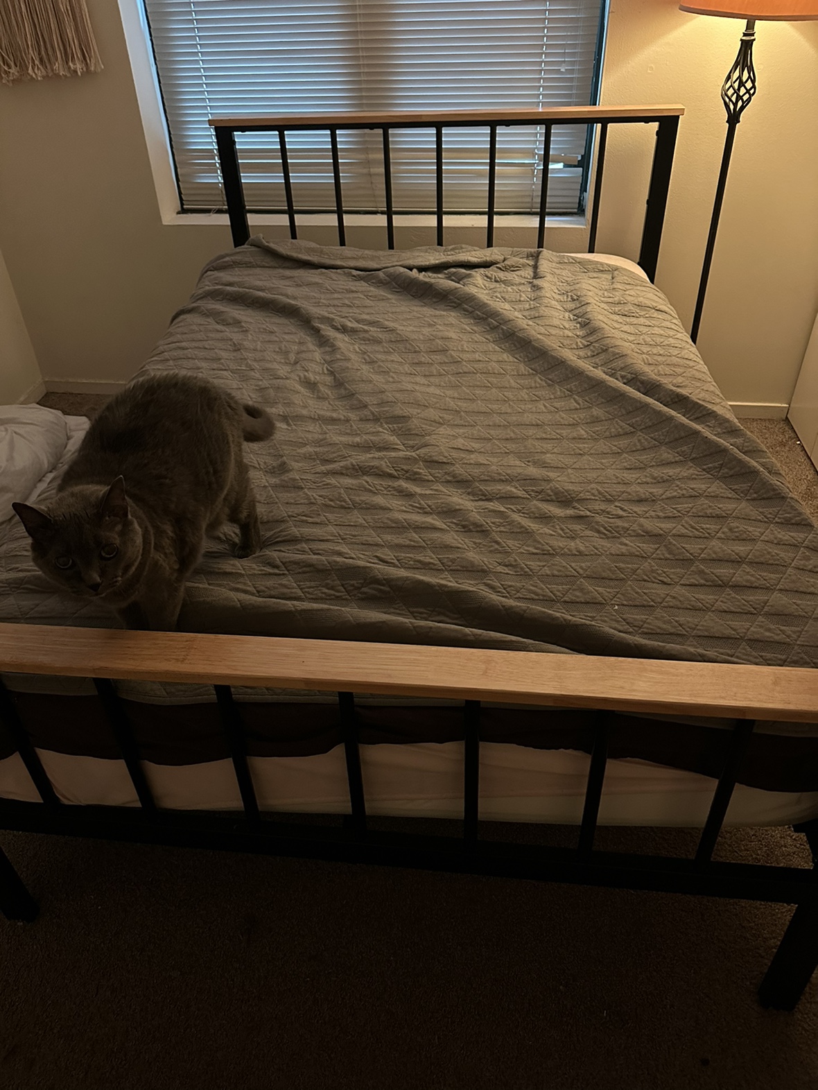 Full size bed frame and mattress