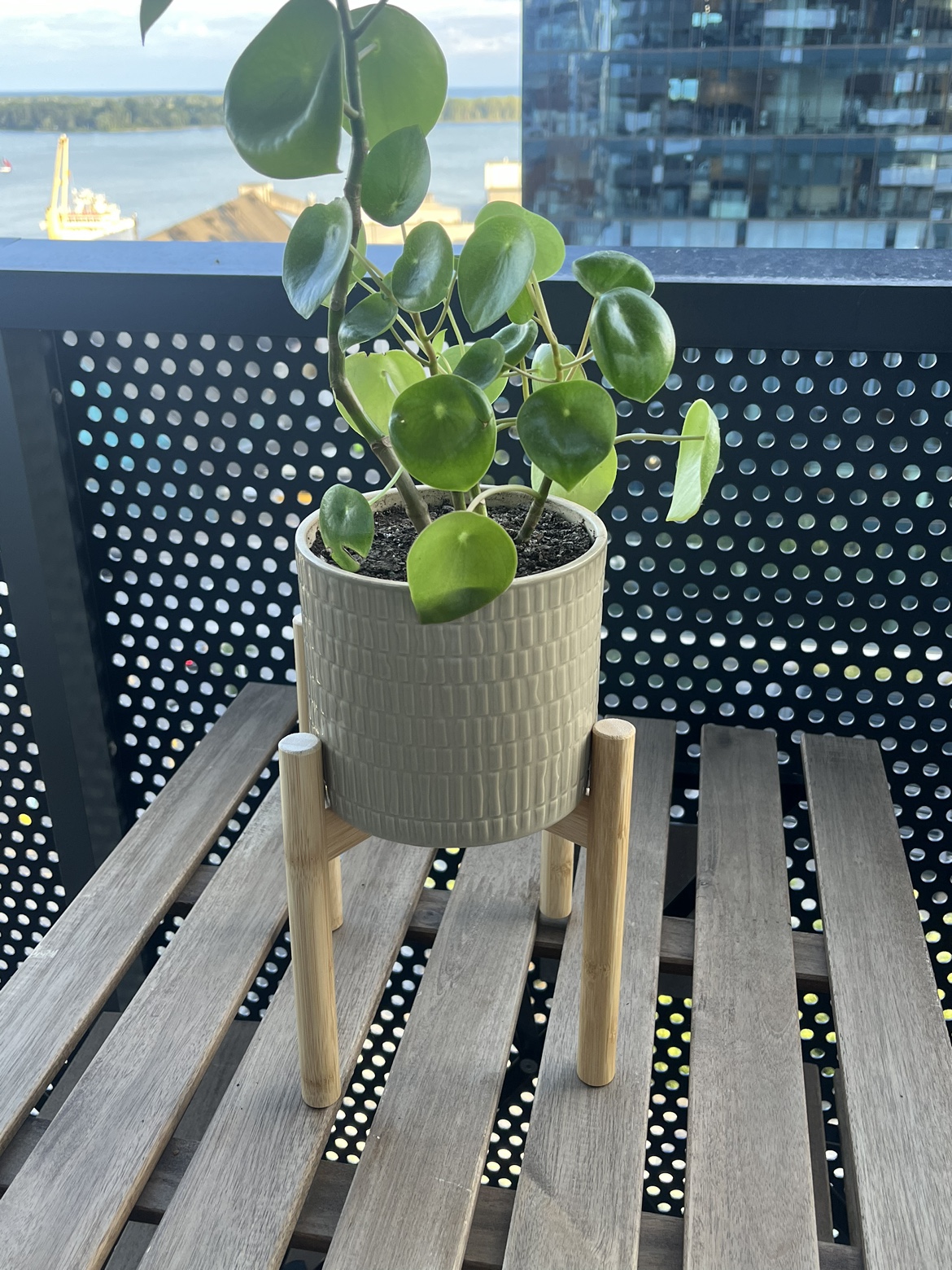 IKEA DAKSJUS Plant Stand thumbnail