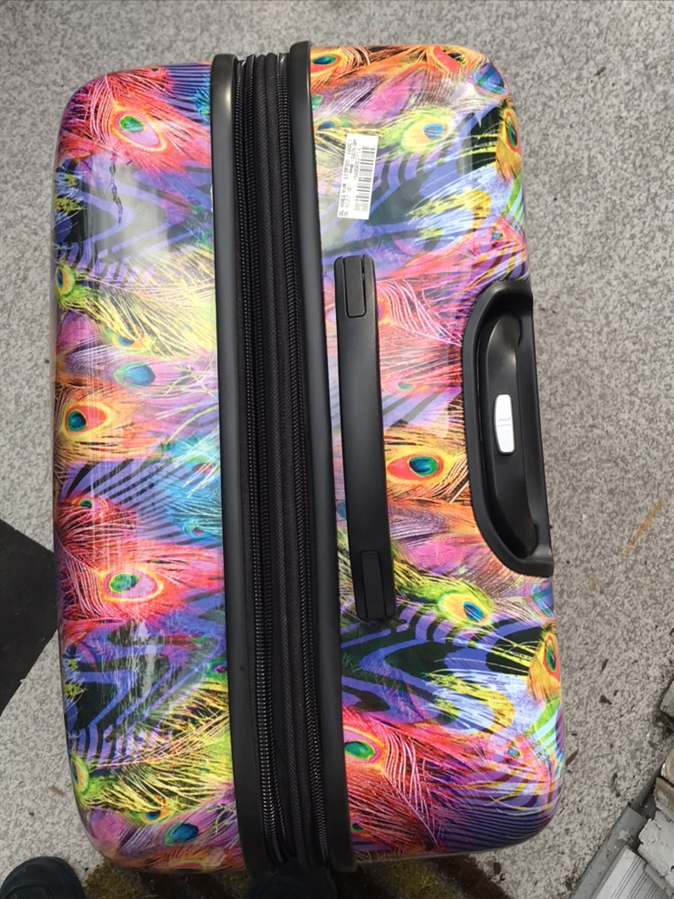 IT Suitcase [Peacock Design] - photo 4
