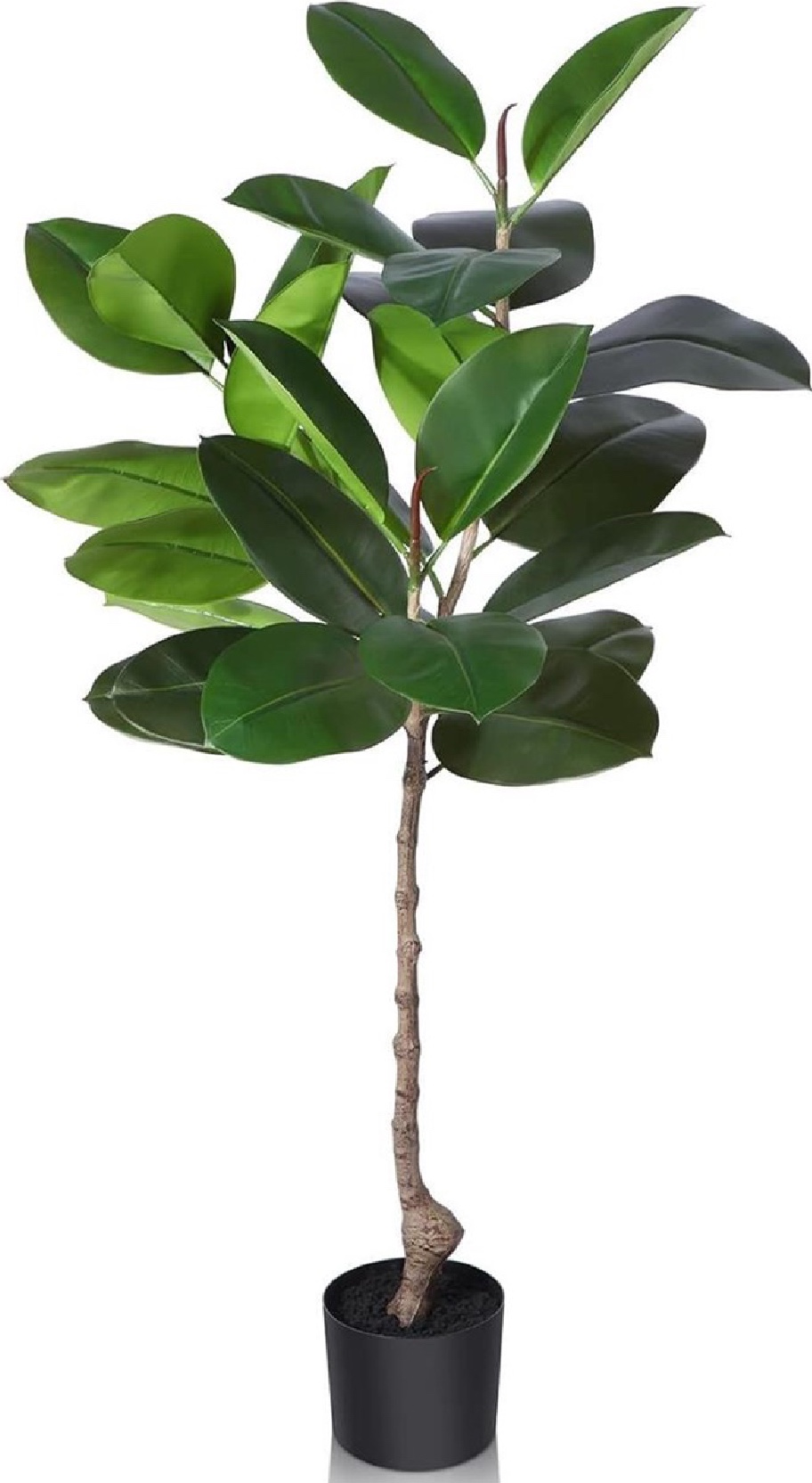Fake plant