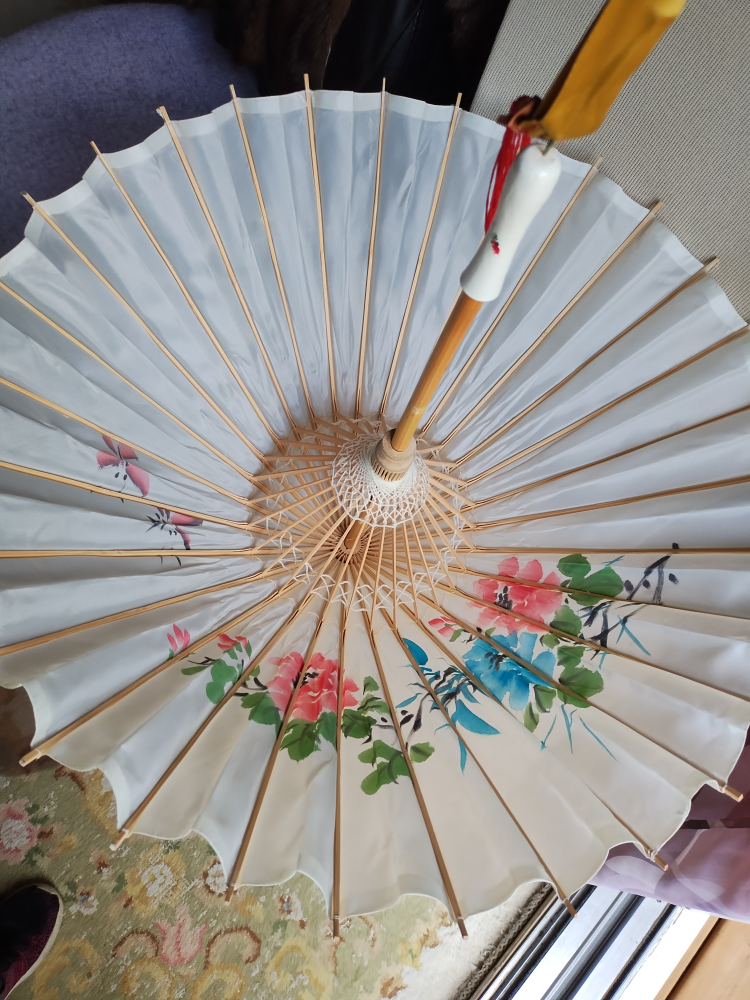 Silk Parasol - Chinese image indicator(3)