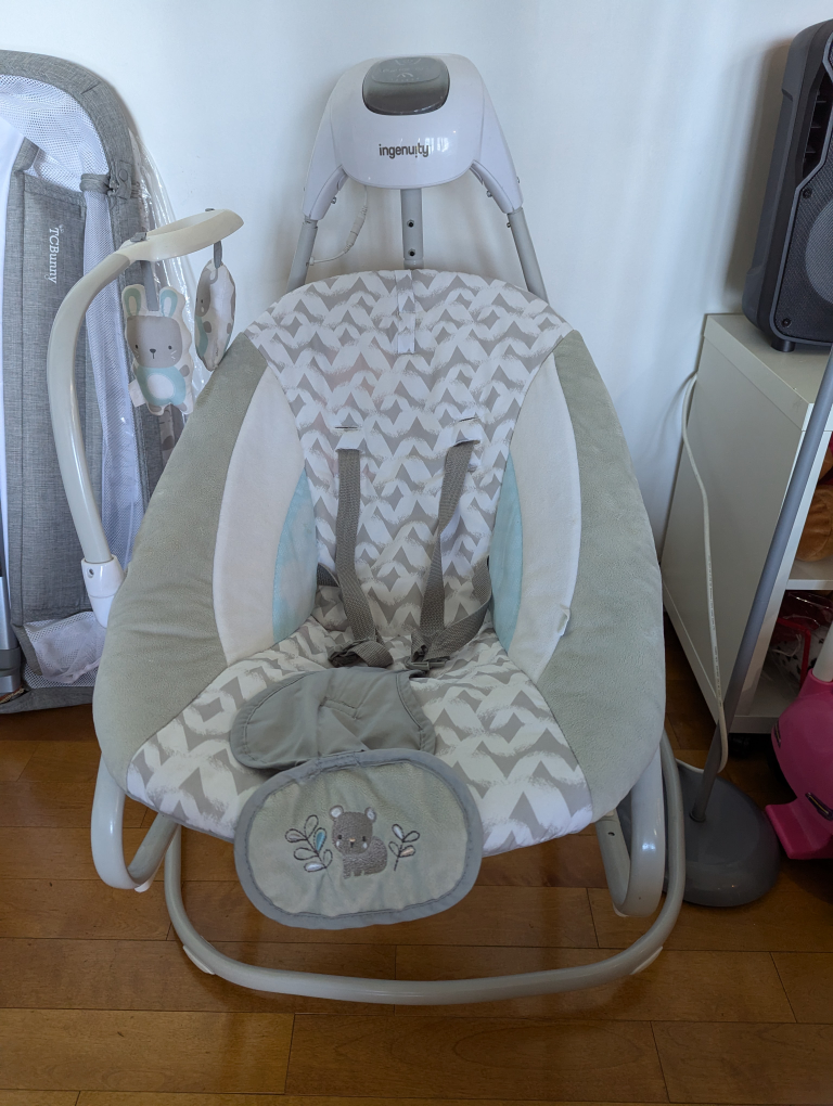 Ingenuity Baby Swing