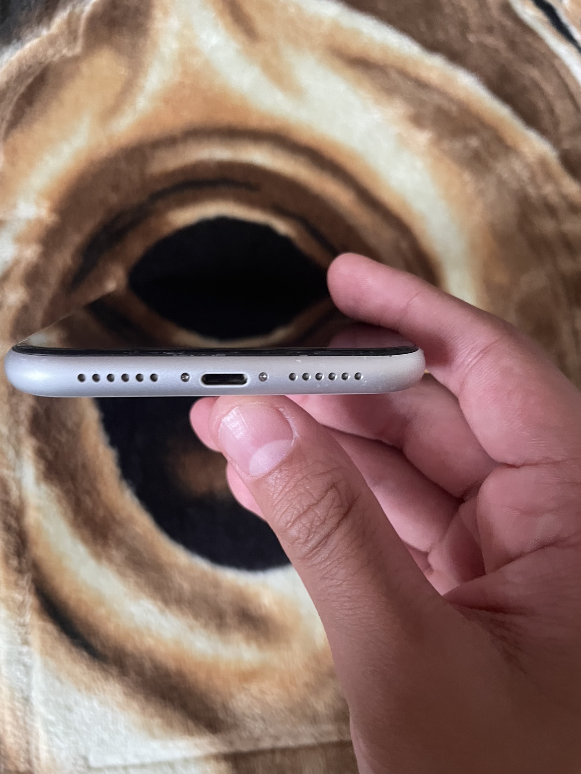 iPhone XR - photo 4