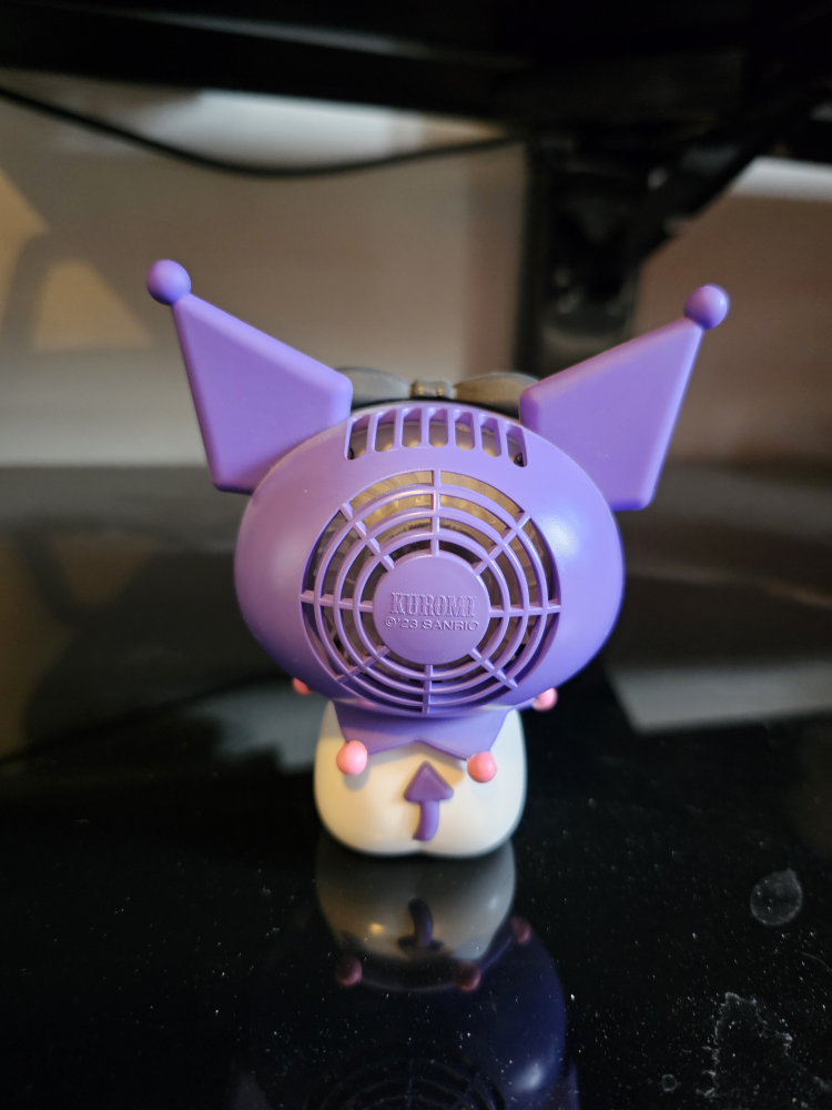 Sanrio fans - photo 4