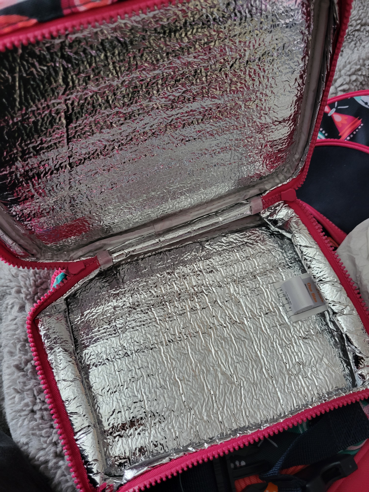 Gymboree Backpack and Lunch bag Set with free pencil case image indicator(8)