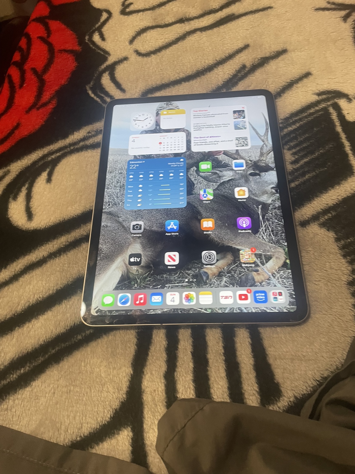 iPad Pro 4th generation - photo 5