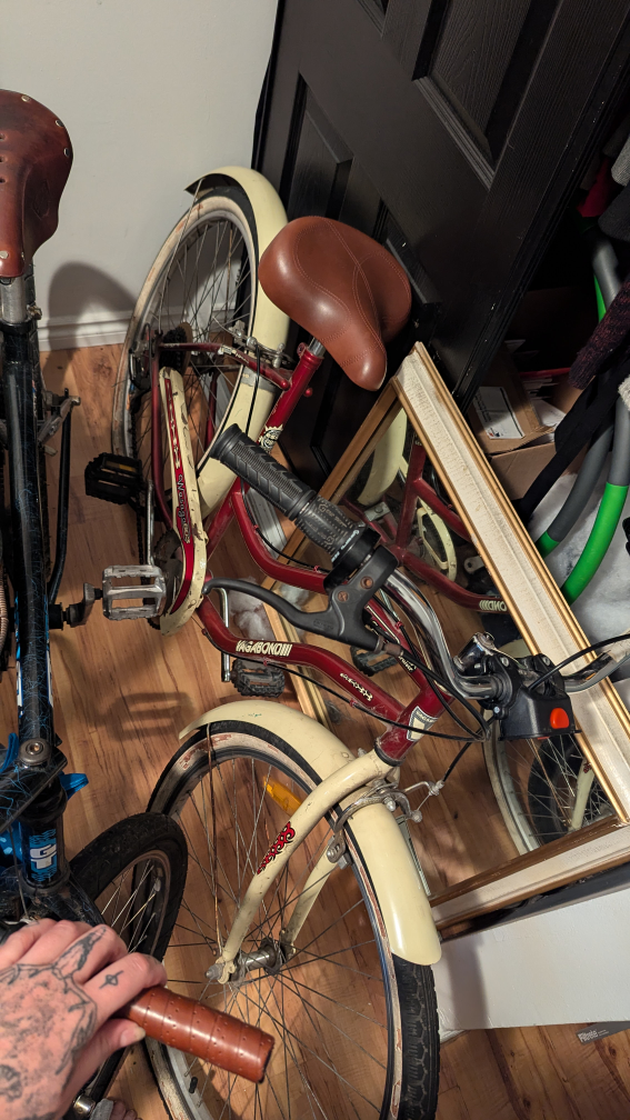 Cruiser Bike - photo 3