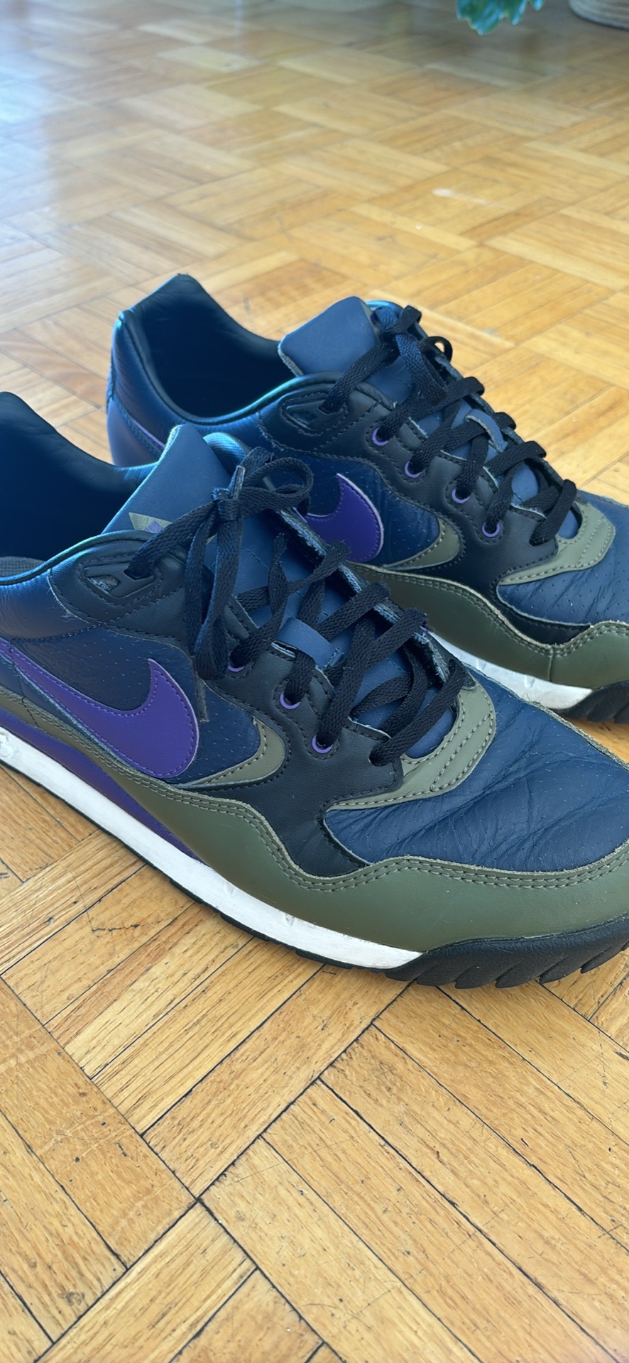 Nike Air Wildwood ACG