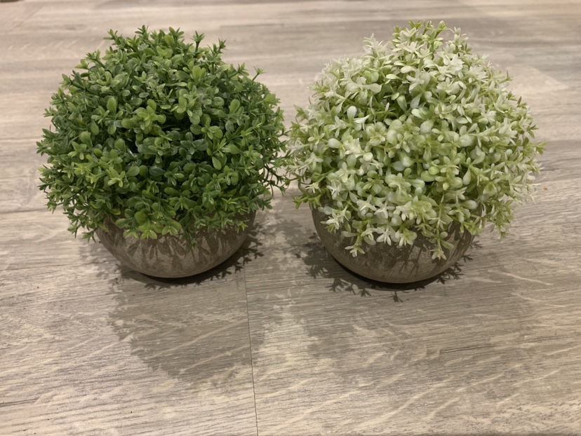 2 faux plants